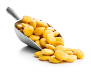 lupin-bean-eu-farming
